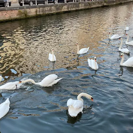 Anna9 * Bruges