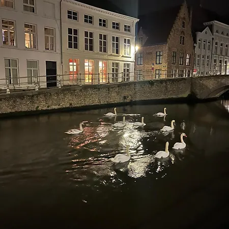 Anna9 * Bruges